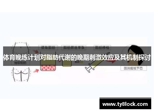 体育晚练计划对脂肪代谢的晚期刺激效应及其机制探讨