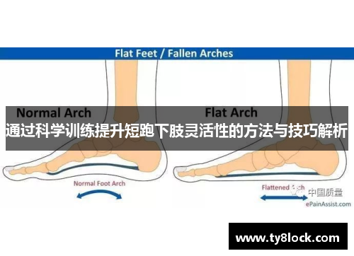 通过科学训练提升短跑下肢灵活性的方法与技巧解析